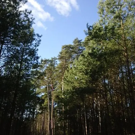 Anna ホームステイ