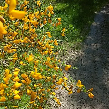 Rum i privatbostad Anna Czarny Mlyn