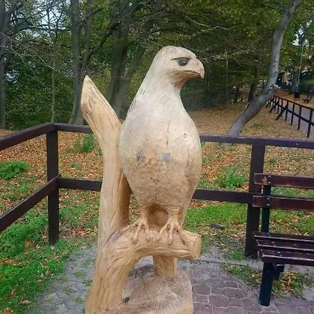 ホームステイ Anna Czarny Młyn