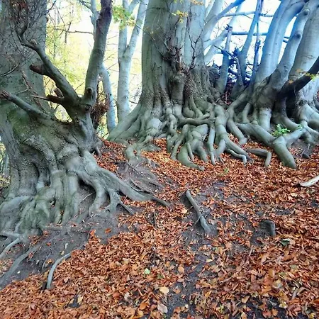 Rum i privatbostad Anna Czarny Mlyn