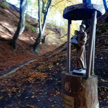 Anna ホームステイ Czarny Młyn