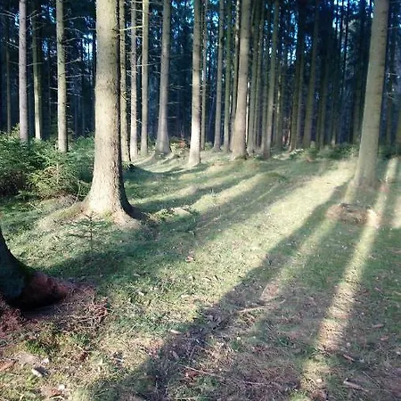 ホームステイ Anna Czarny Młyn