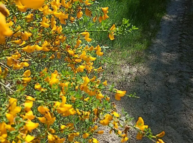 Ubytování v soukromí Anna Czarny Mlyn