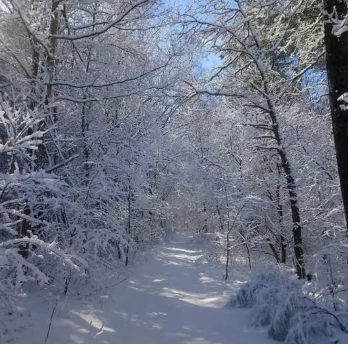 Anna Ubytování v soukromí