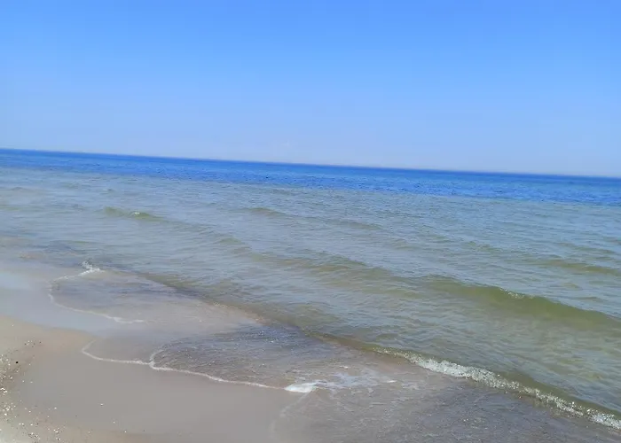 Anna Проживание в семье Czarny Mlyn