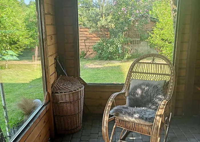 Проживание в семье Anna *