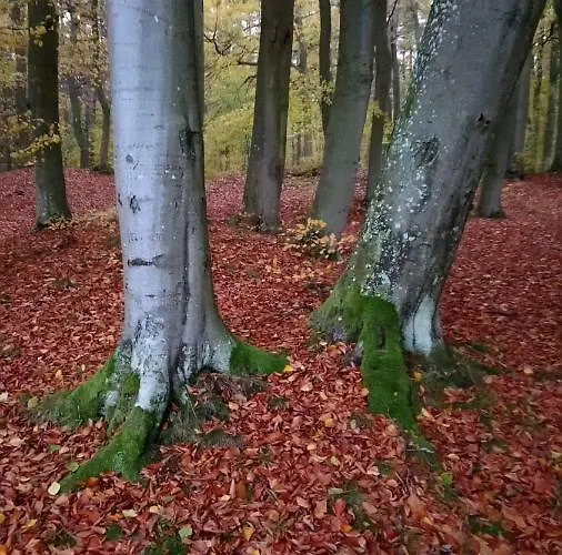 Anna Ubytování v soukromí *